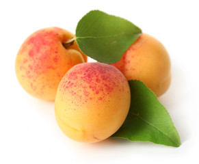 Ripe apricots isolated on white