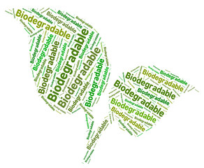 Biodegradable Word Means Degrade Text And Decomposing