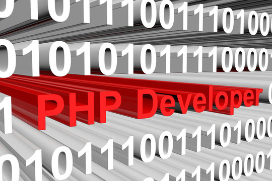 php developer presents in the form of binary code