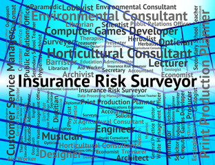 Insurance Risk Surveyor Indicates Position Policies And Surveyin