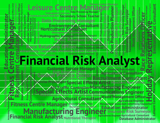 Financial Risk Analyst Means Analysers Analyse And Investment