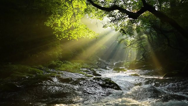 熊本の菊池渓谷　光芒動画