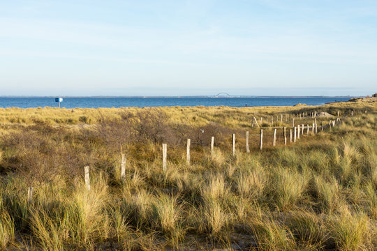 D&uuml;nenlandschaft auf dem Graswader in Heiligenhafen an der Ostsee, Deutschland