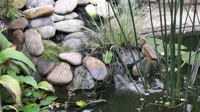 Bachlauf bei einem Teich