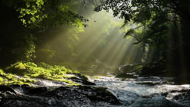 熊本の菊池渓谷　光芒動画