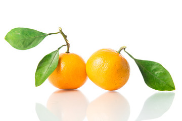 Orange fruit isolated