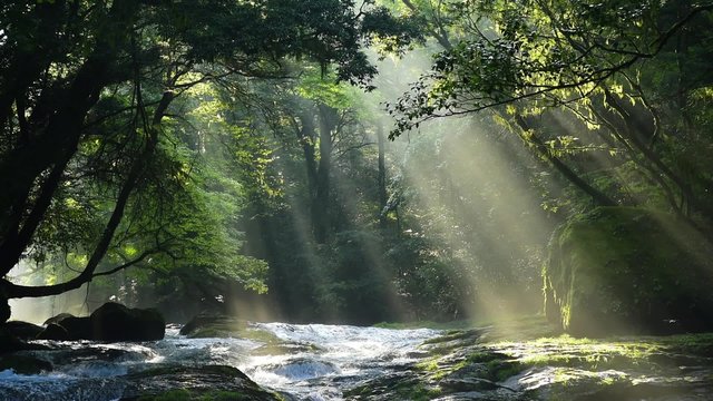 熊本の菊池渓谷　光芒動画