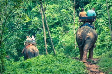 Zelfklevend Fotobehang Tourist Group Rides Through the Jungle on the Backs of Elephants © Lukasz Janyst