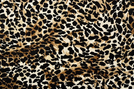 Brown and black leopard fur pattern. Spotted animal print as background.