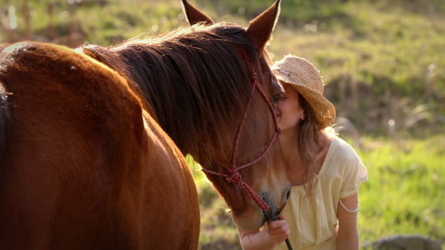 Pretty woman kissing a horse