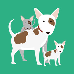 PetÂ´s love design