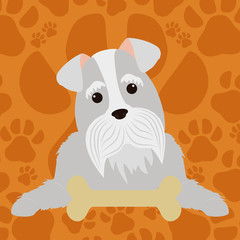 PetÂ´s love design