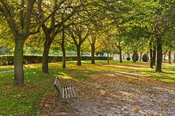 Parque Público en Otoño