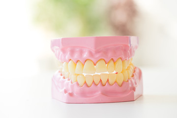 Denture shows how to use toothbrush, dental equipment