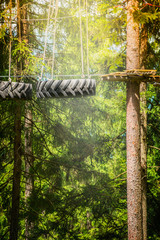 climbing forest or rope park with tyre hanging on the ropes on nature background
