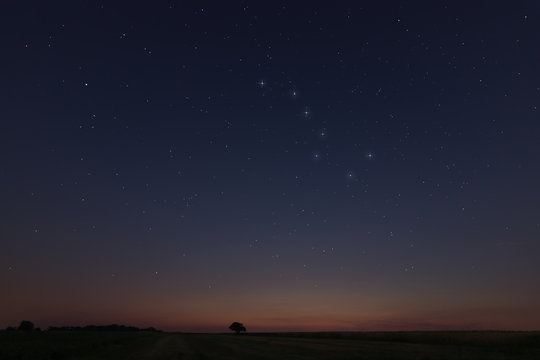 Beautiful Star at sunset Field with Constellations Ursa major, Leo minor, Leo, Draco Botes, Canes Venatici, Coma Berenices