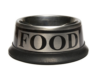 Empty Stainless steel Dog Bowl