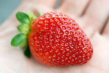Fresh Strawberry background