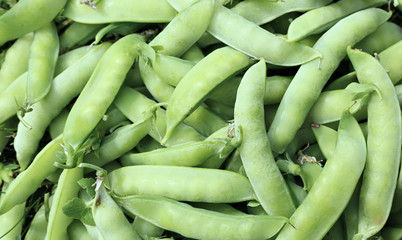 Background of fresh green pea pods