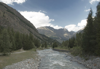 Fototapeta na wymiar il torrente alpino