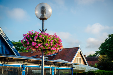 Street lamp decorated with pink flowers. Nida, Lithuania