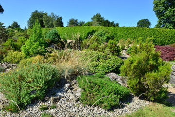 Fototapeta na wymiar A Rock garden in Kent in August