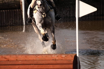Horse at water jump.  Horse and rider at a water jump competing in an equestrian competition.