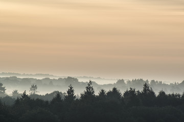 Fototapeta premium Forest landscape with layers of mist at sunrise in countryside