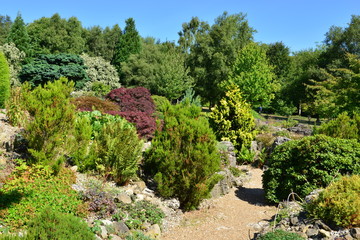 Fototapeta na wymiar A Rockery garden in the Kent countryside in August. 