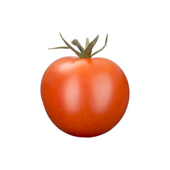 Fresh Tomato