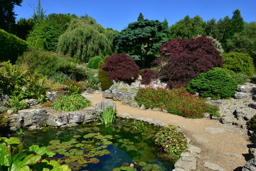 Fototapeta na wymiar A Rock garden in Kent in August