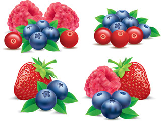 group of forest fruits raspberry, strawberry, blueberry, cranberry