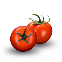 Fresh Tomato