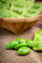 Parkia speciosa bean background , bitter bean.