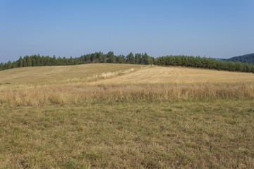 Obraz premium Dry landscape, hot summer without rain in the Czech Republic. Dry grass on a hot summer day.