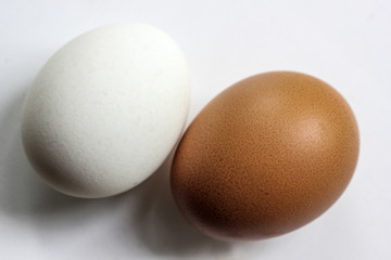 Two eggs. White and brown