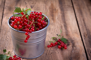 red currant
