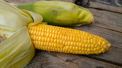 épi de maïs 09082015