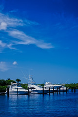 Luxury Yachts on A Summer Day