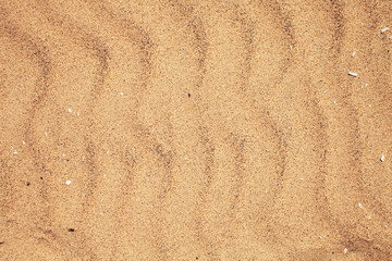 Fototapeta na wymiar texture of dry beach sand