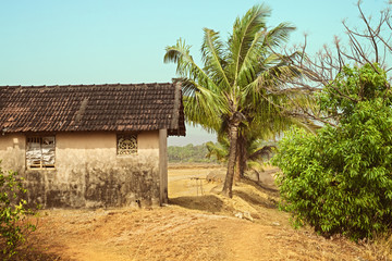 Rural old house against the jungle
