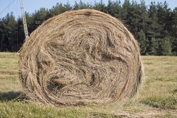 Hay Bale