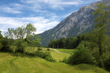 Fototapeta na wymiar Landscape in Switzerland