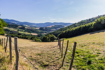 Campagne jaunis par la sècheresse de l'été caniculaire