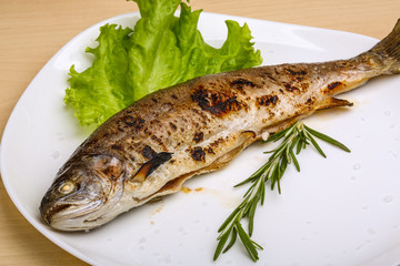 Grilled trout