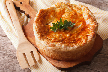 Homemade delicious chicken pie close-up. horizontal 
