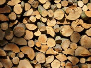 Cut logs in a pile making an attractive design