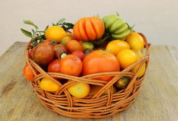 Basket with fresh tomatoes on a wooden table