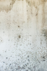 Fototapeta premium Dirty, stained and worn wall texture background