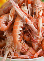 a bowl of fresh hot Shrimps